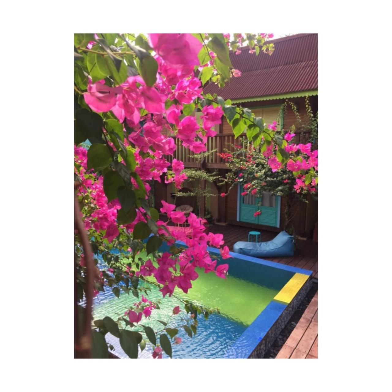 เบลอ แวร์เด ไอ แอม คัลเลอร์ Hotel กีลีตราวางัน ห้อง รูปภาพ